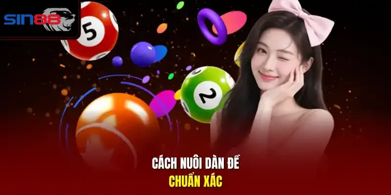 Cách nuôi dàn đề chuẩn xác