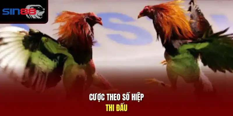 Cược theo số hiệp thi đấu.