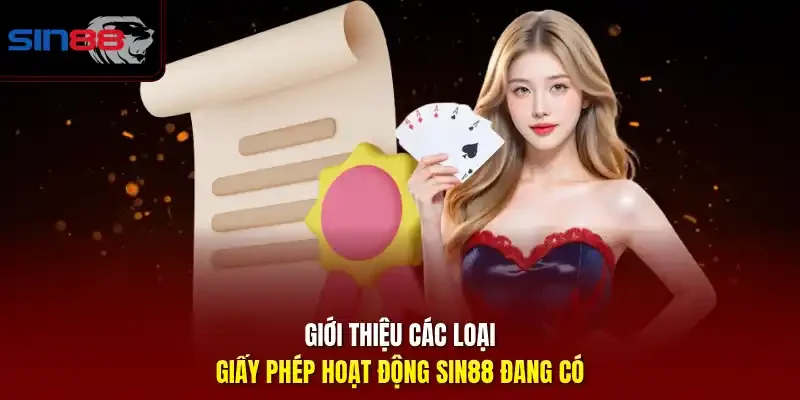 Giới thiệu các loại giấy phép hoạt động SIN88 đang có